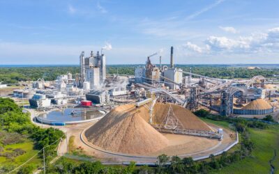 Paper Mill In Northeast Florida