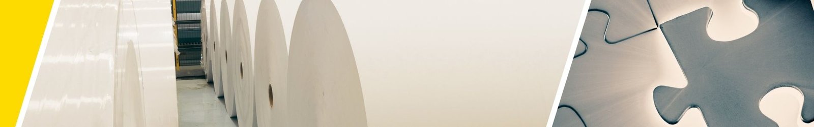 Éxitos demostrados: sector de la pasta y el papel